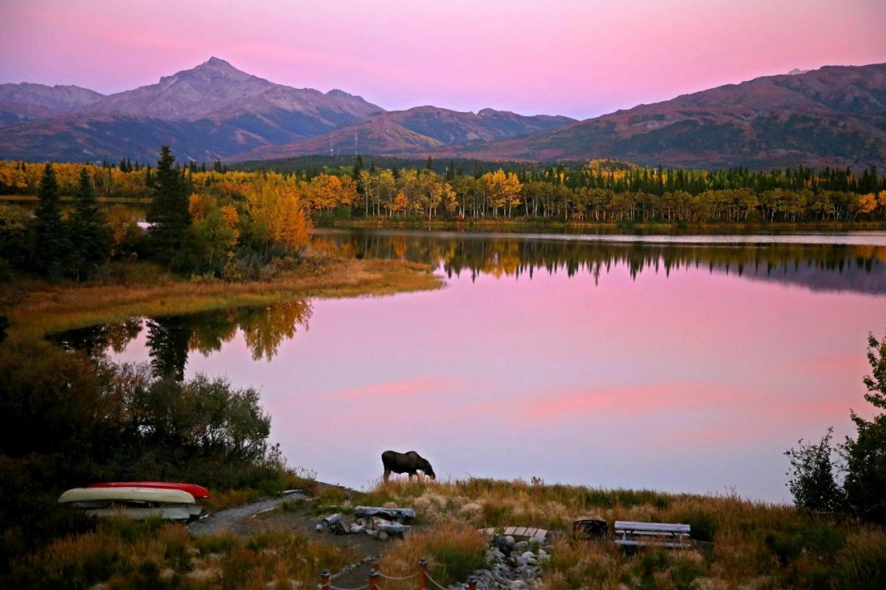 Denali Lakeview Inn Healy Buitenkant foto